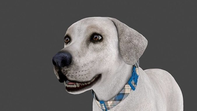 FLAB-001 Walking Animation 3D model animated rigged | CGTrader