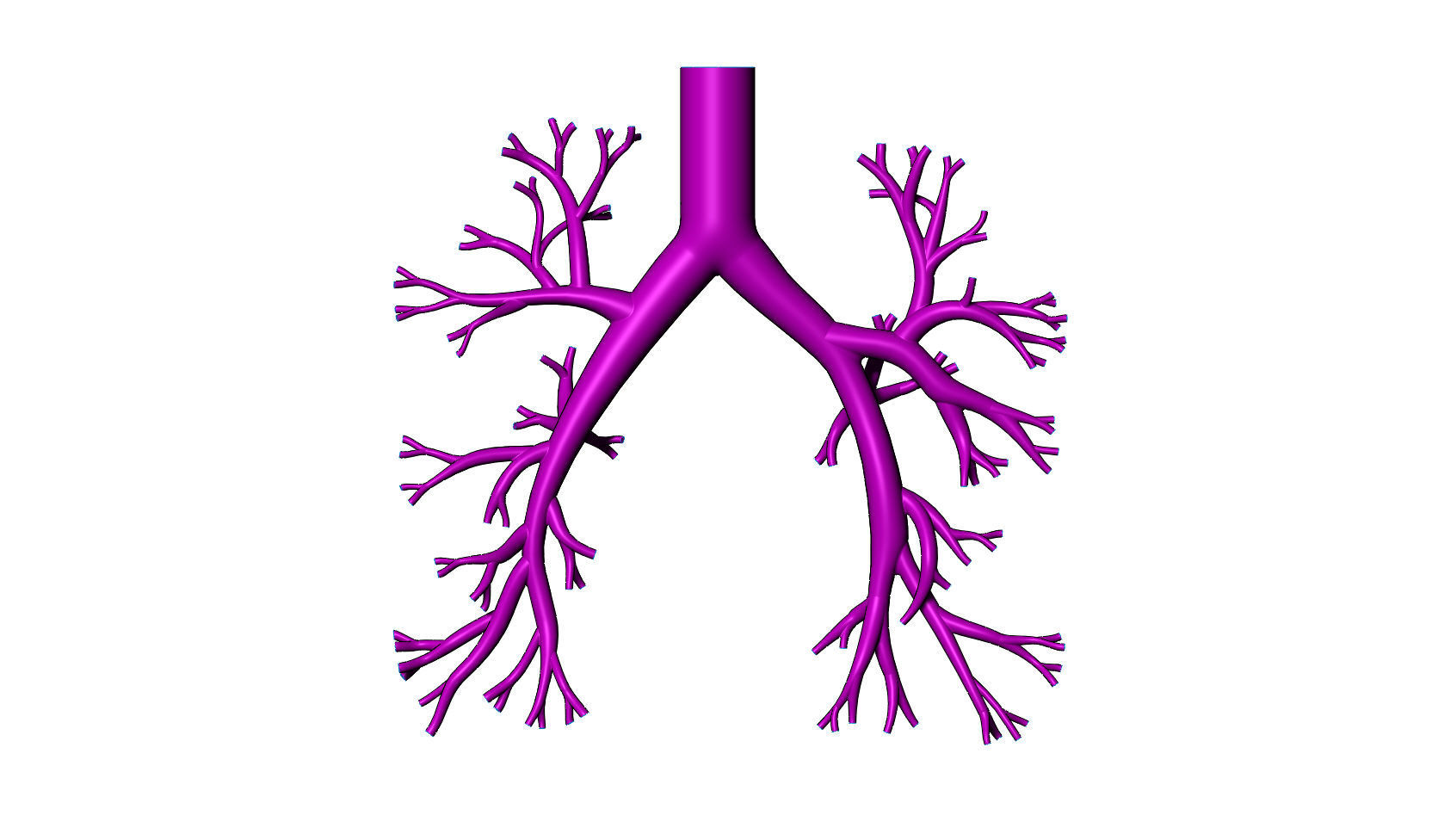 Bronchial tree 3d model for 3d printing CFD and FEA