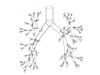 Bronchial tree 3d model for 3d printing CFD and FEA 3D model 3D ...