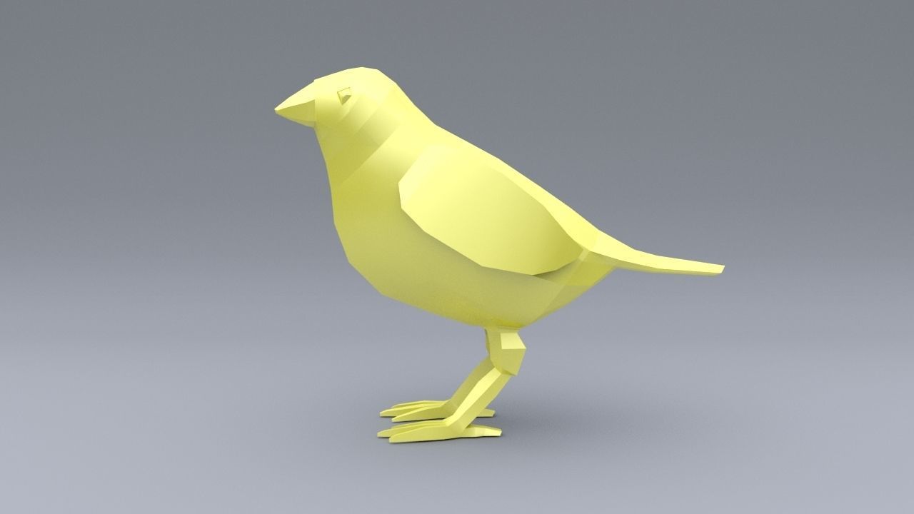 3D model Canary bird VR / AR / low-poly | CGTrader