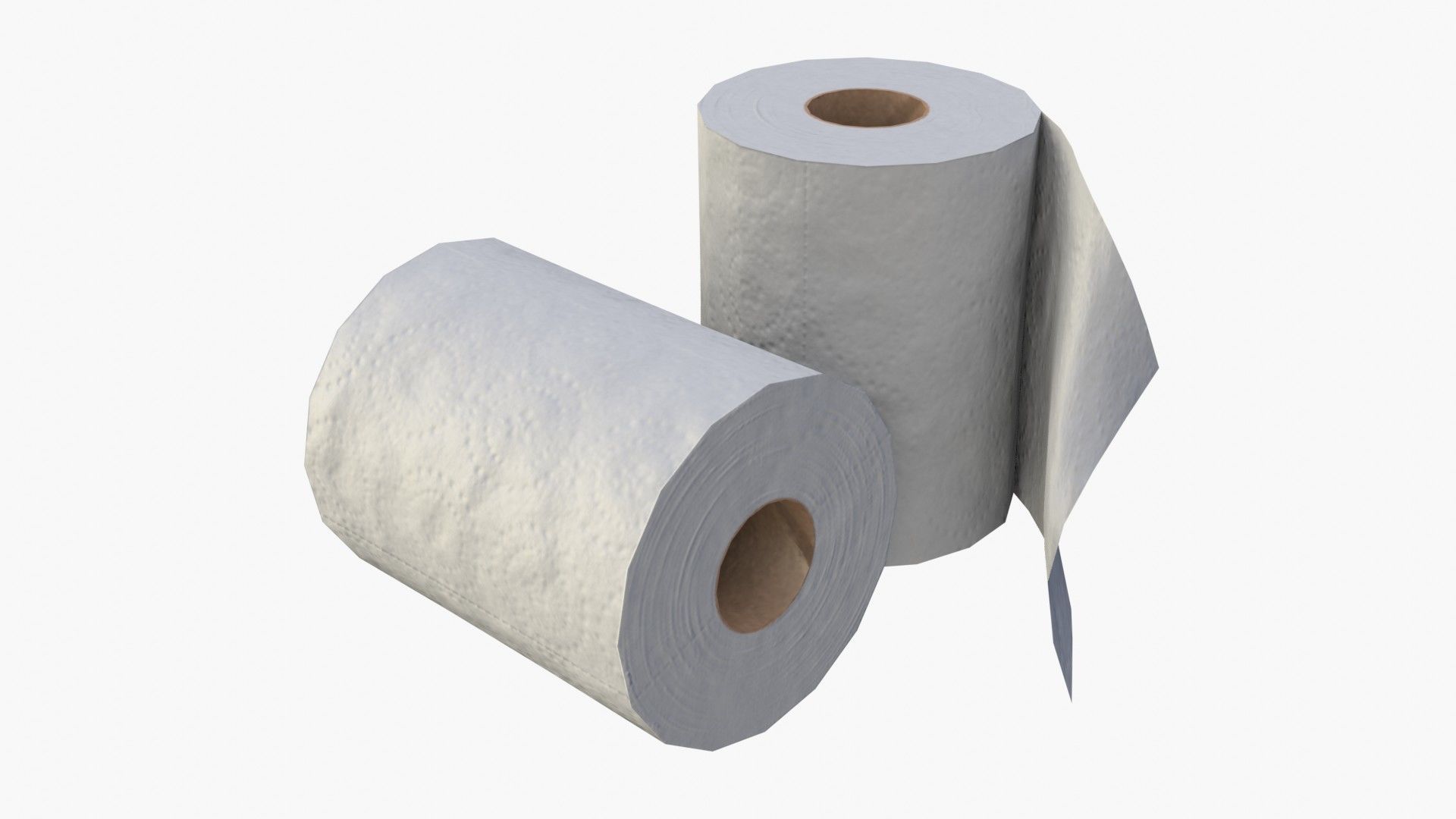 Toilet Paper Rolls