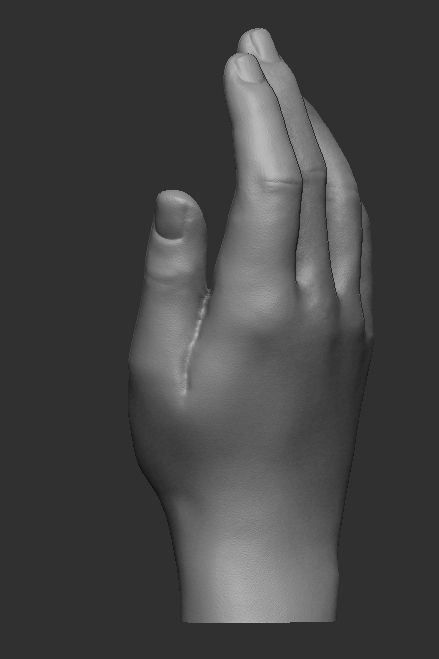 Hand realistic pose 2 3D print model