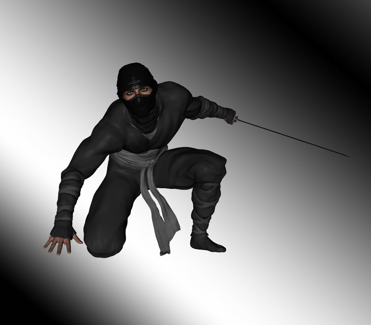3D print model Shadow Ninja CGTrader
