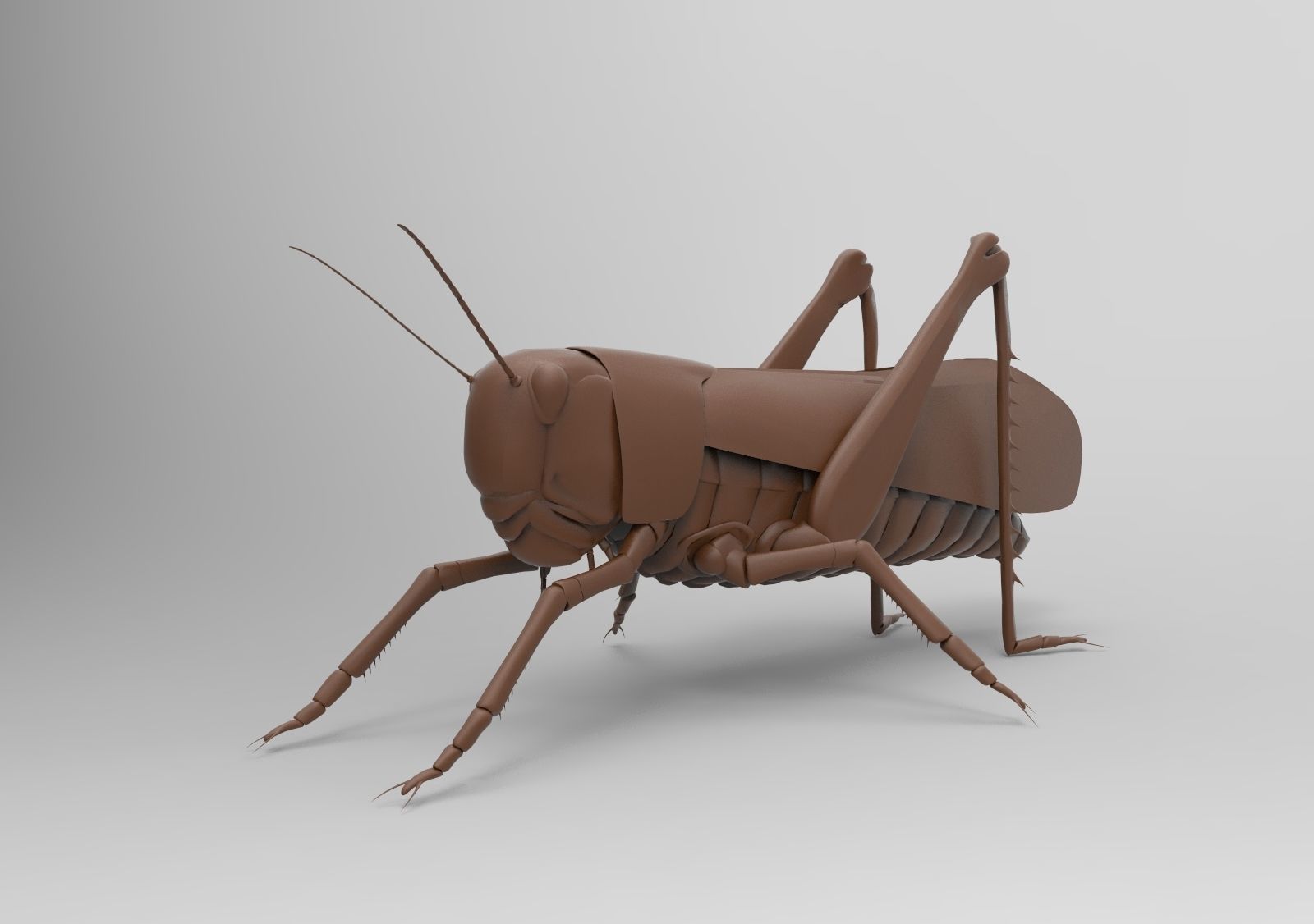 3D print model CGTrader