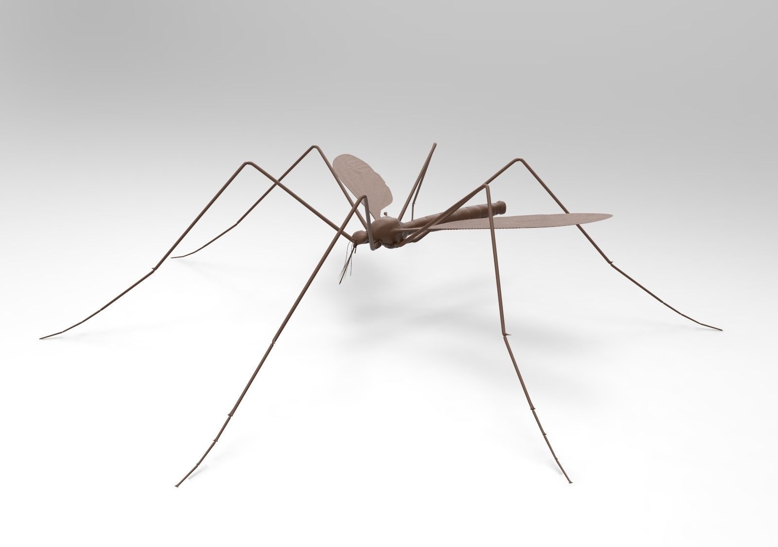 Mosquito
