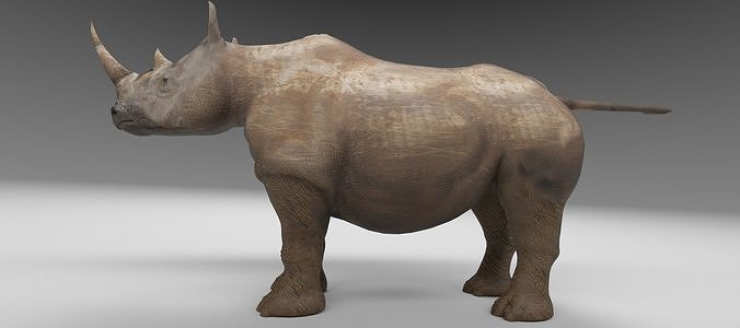 3d rhino