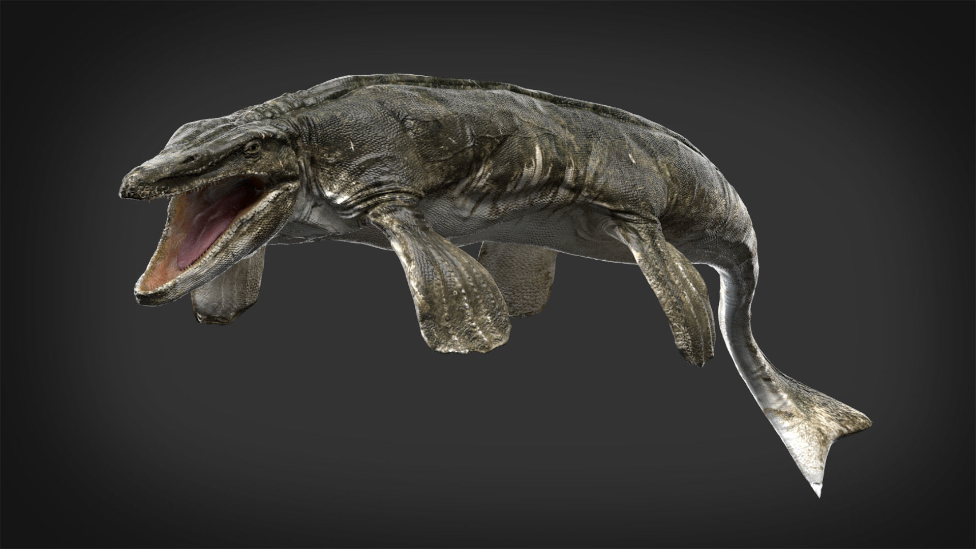Tylosaurus 3D model Rigged