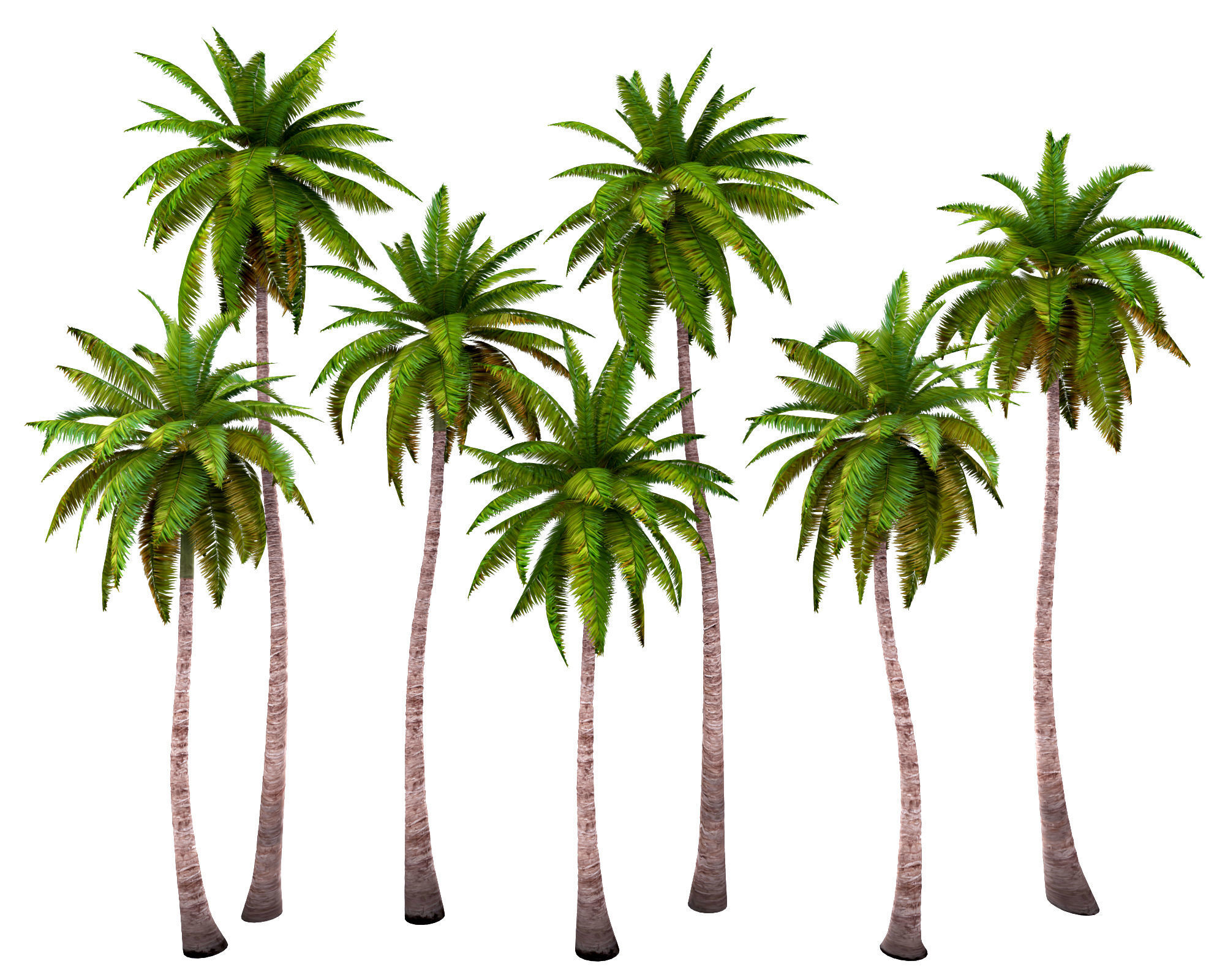 Palms low poly set 1