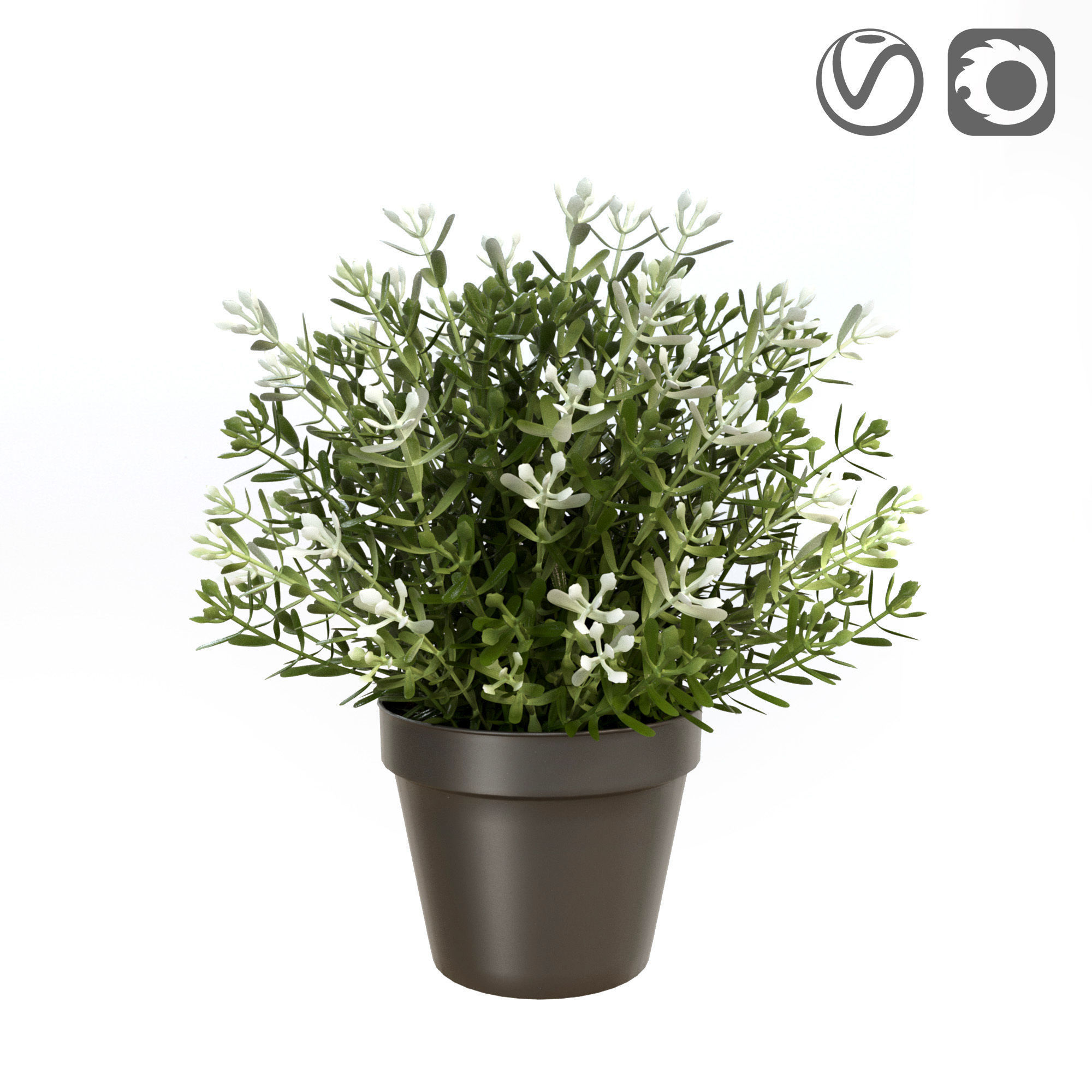 FEJKA Artificial potted plant thyme 3D CGTrader