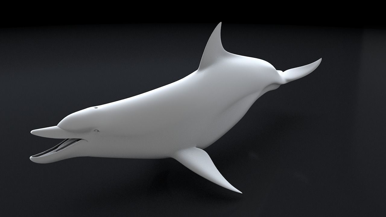 Bottlenose Dolphin 3D Printable Model