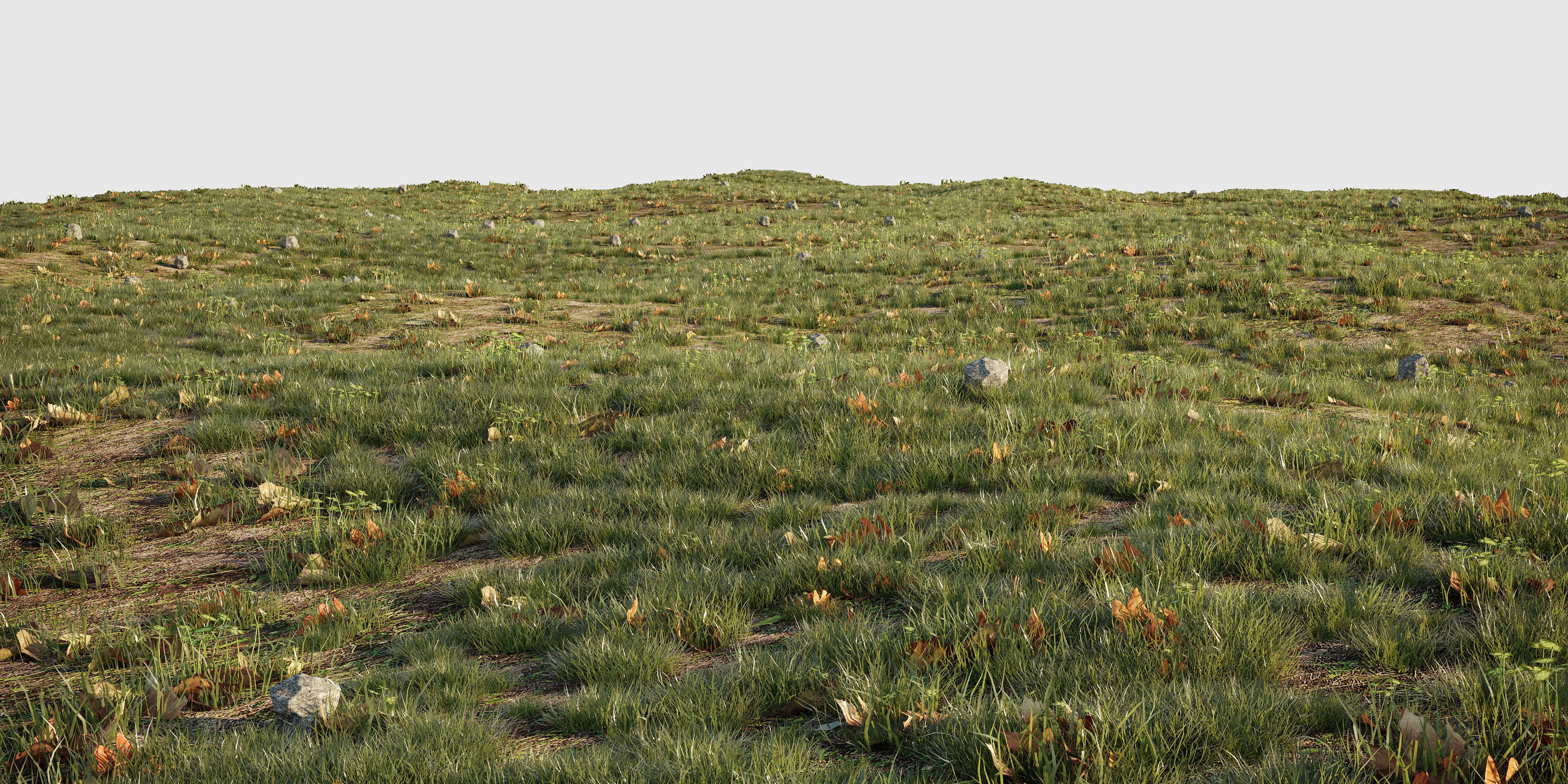 House Grass or Lawns