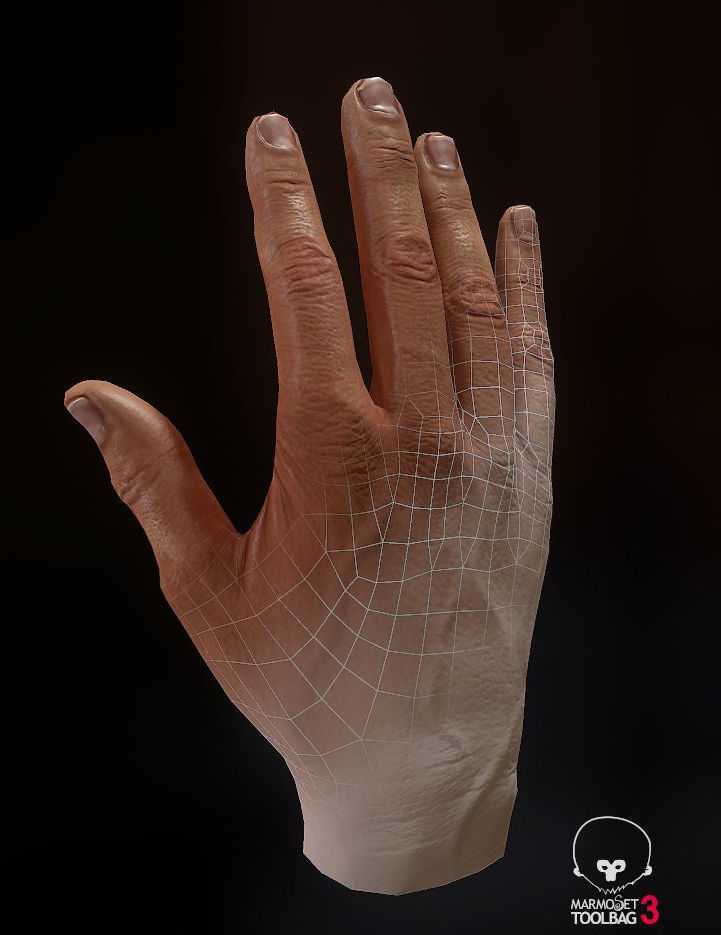 3d Hand Model