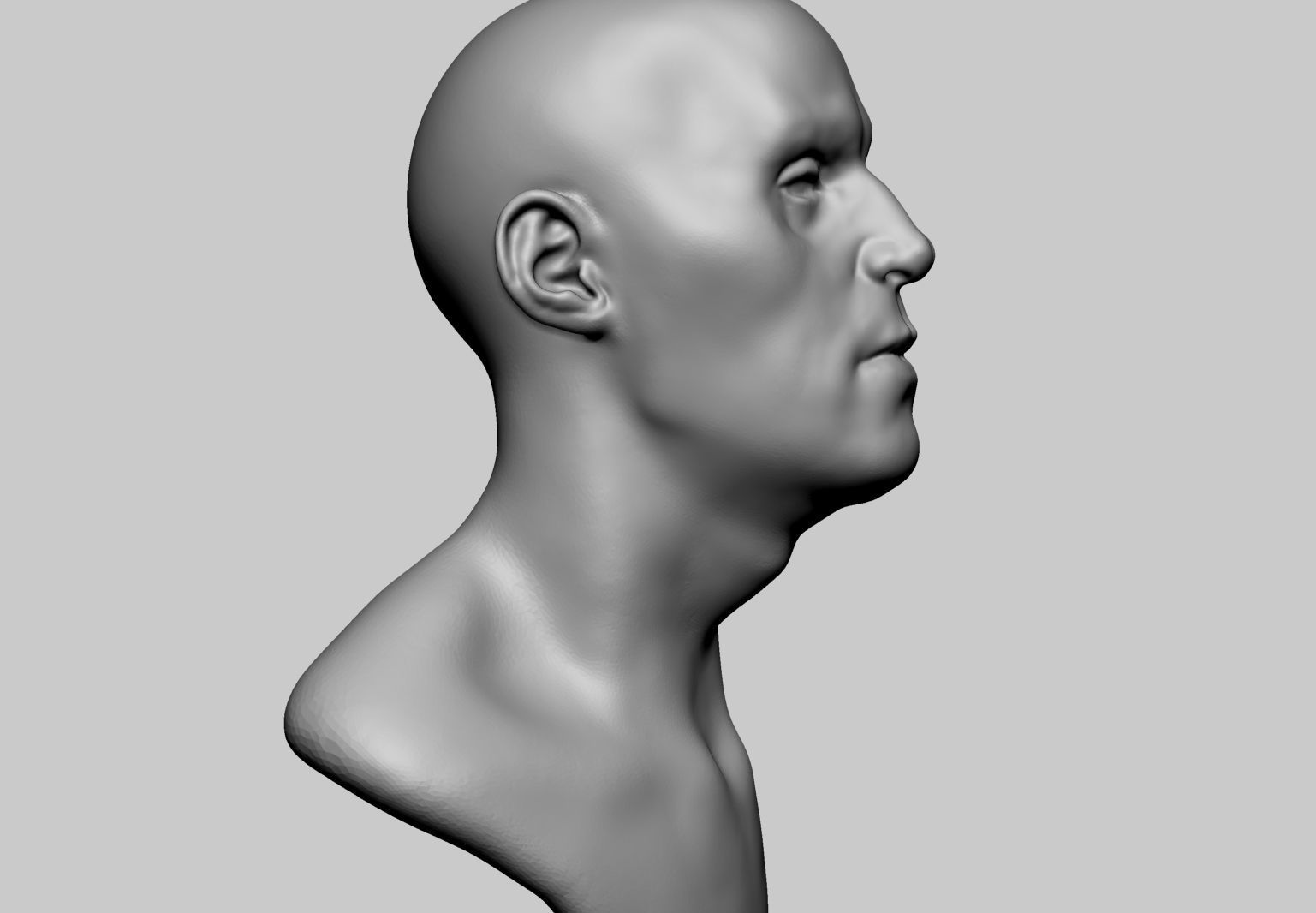 Head Models v2 3D model | CGTrader