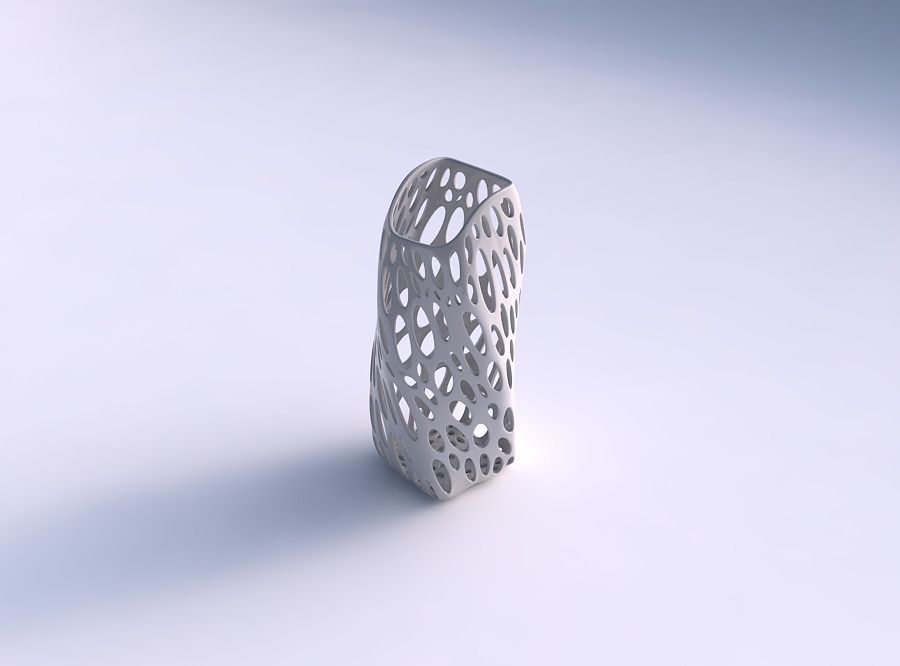Vase twisted arc quadratic with smooth organic lattice 3D print model