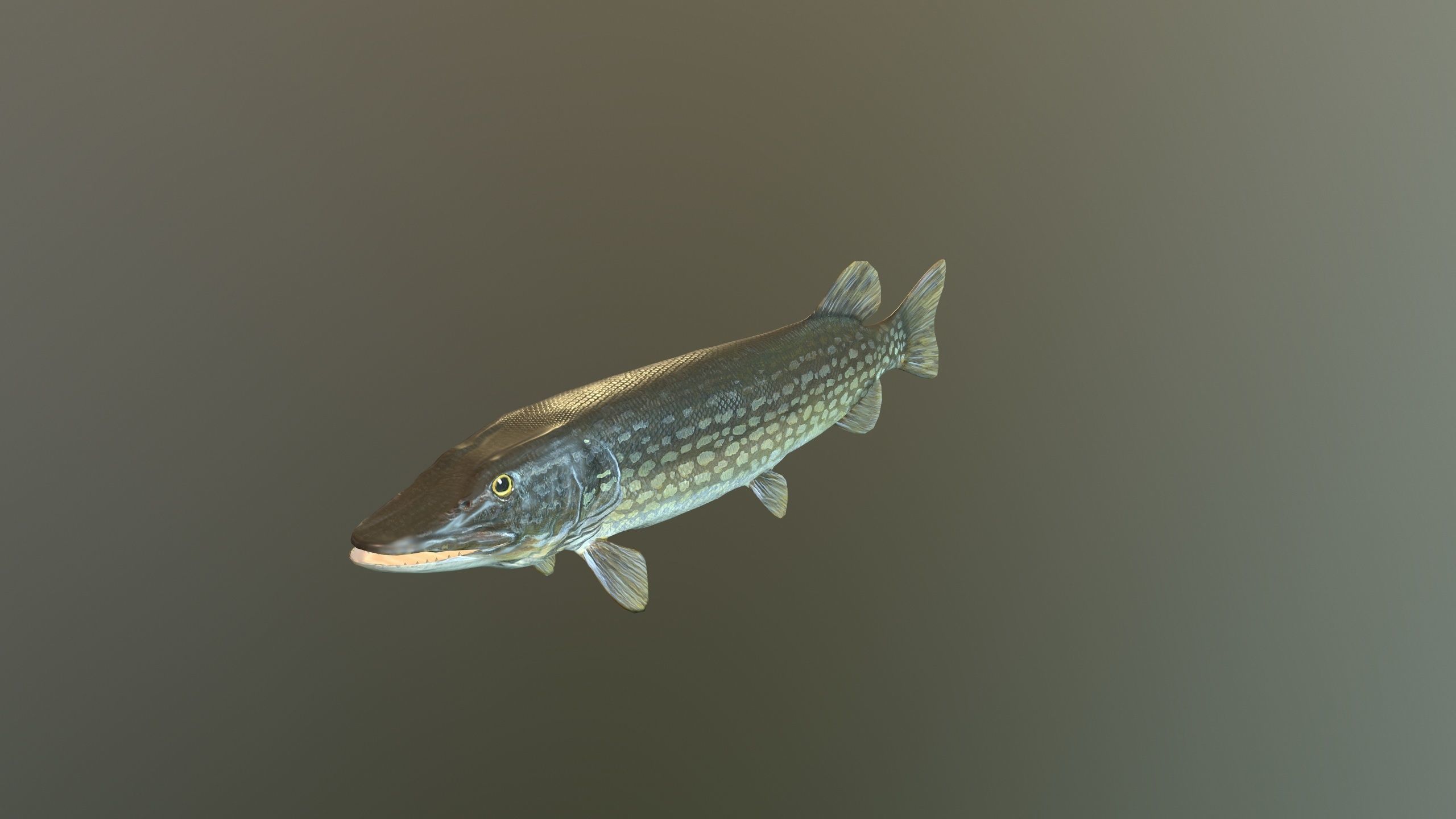 The Pike