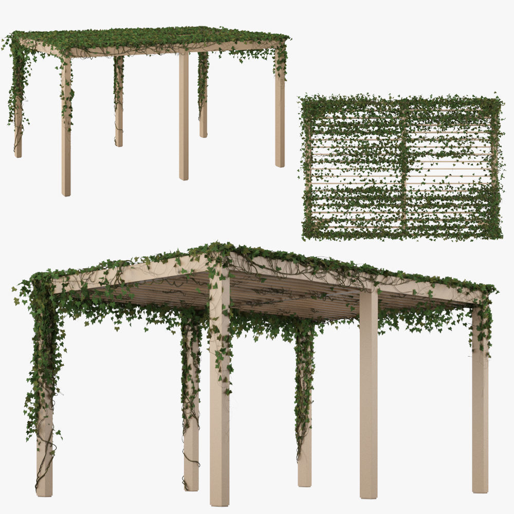 Pergola with Ivy v2
