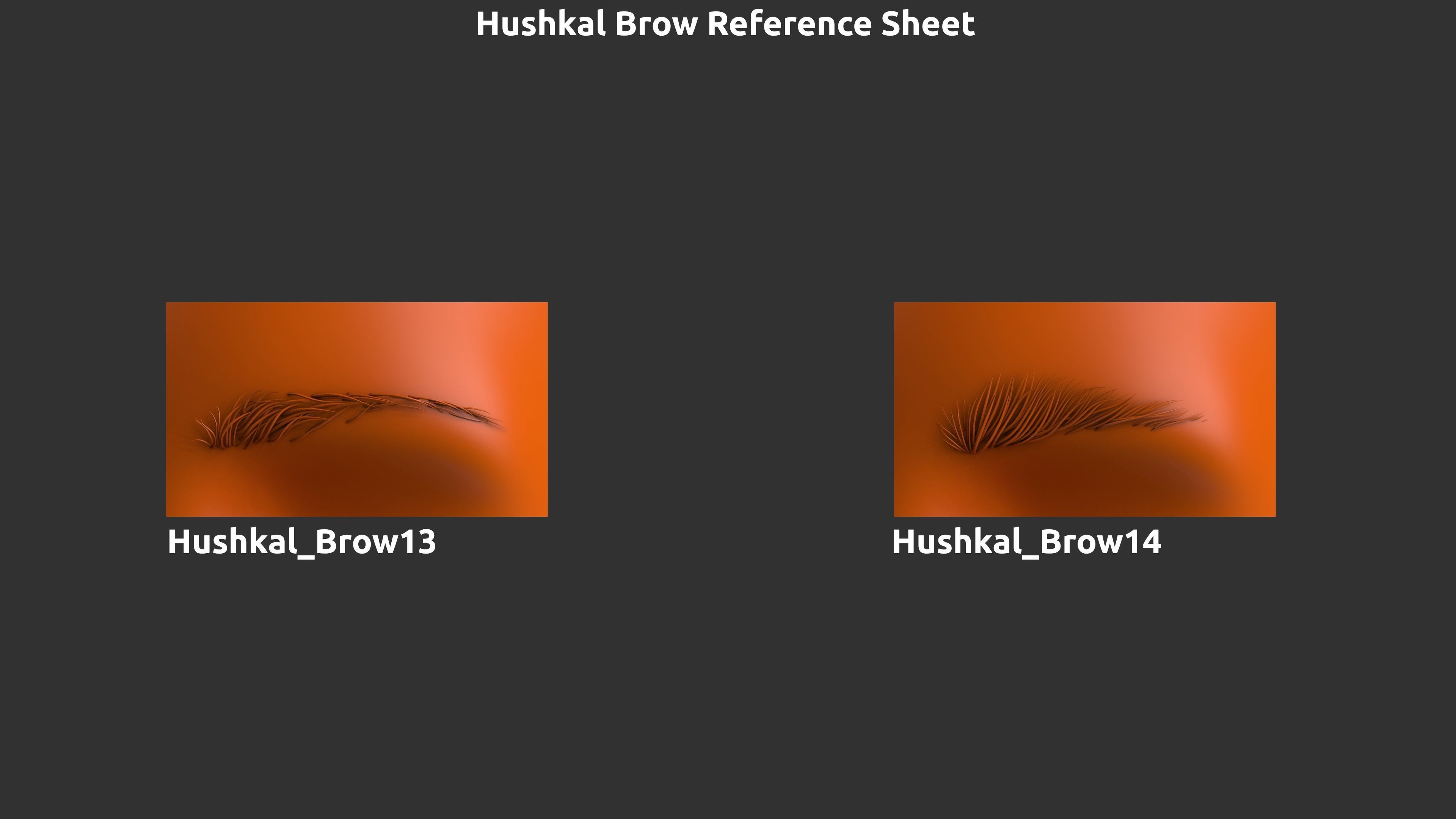14 Zbrush Eyebrow IMMS 3D model CGTrader