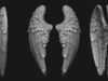 Wings Printable 6 3D model 3D printable | CGTrader