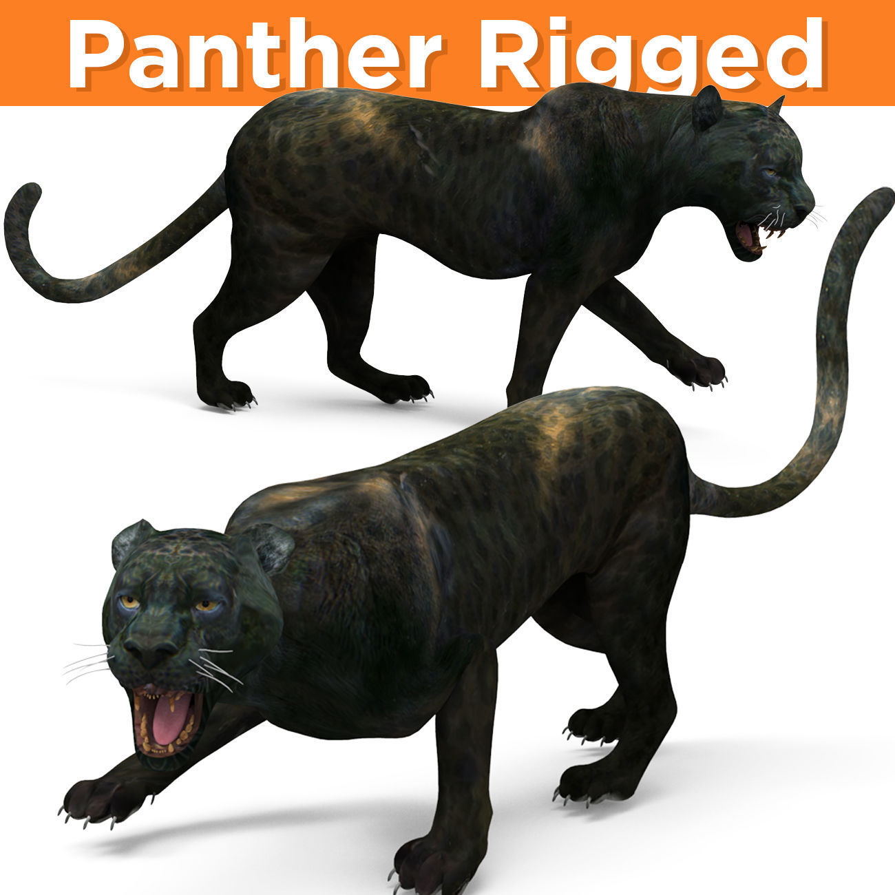 Black Panther Rigged And Animated