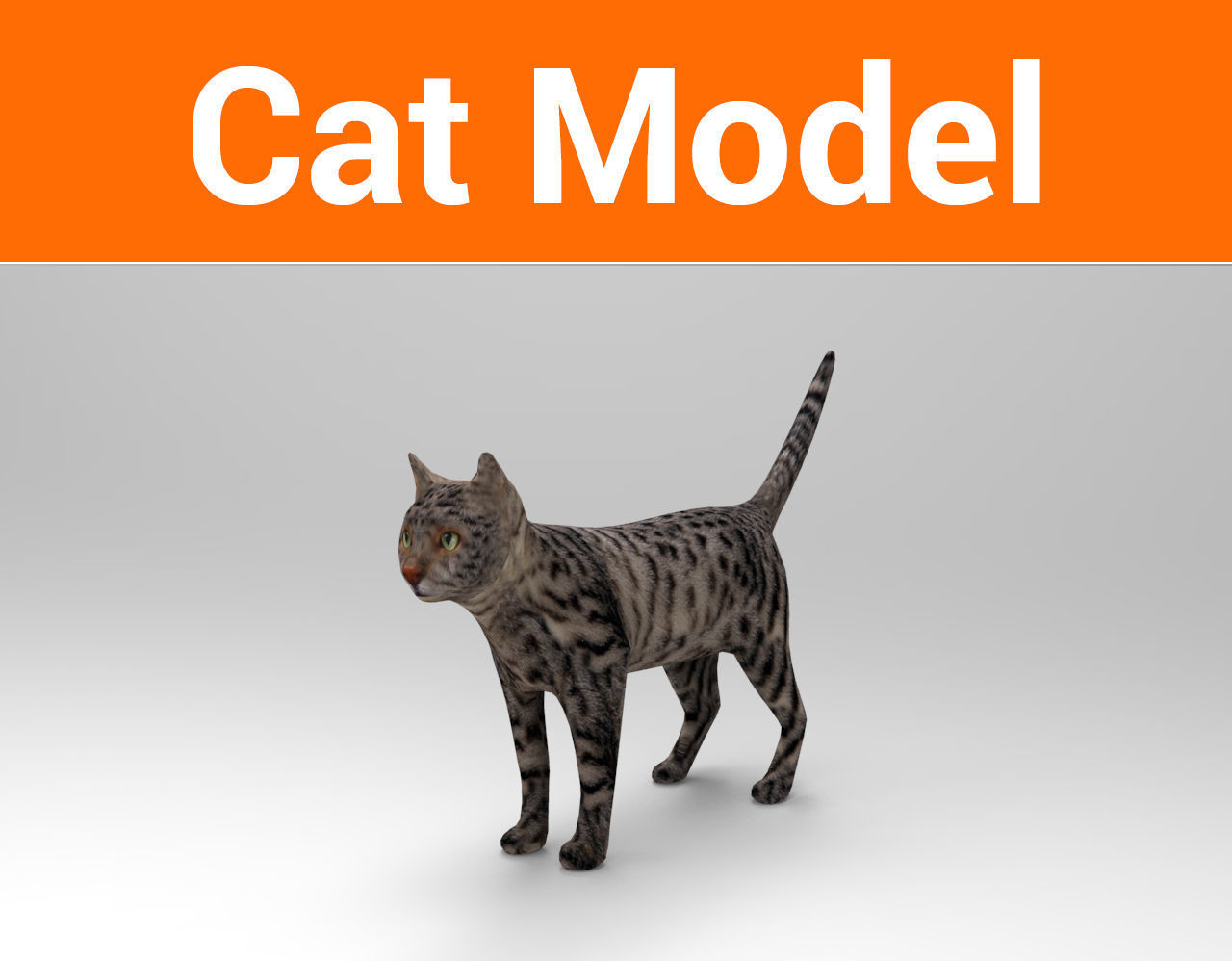3D Pet Cat Model