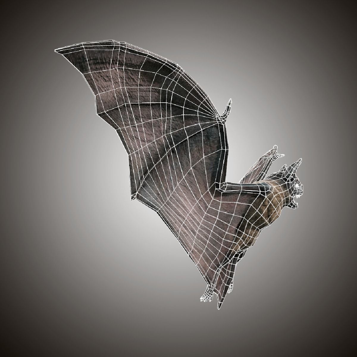 3D model Vampire Dark Bat VR / AR / low-poly animated | CGTrader