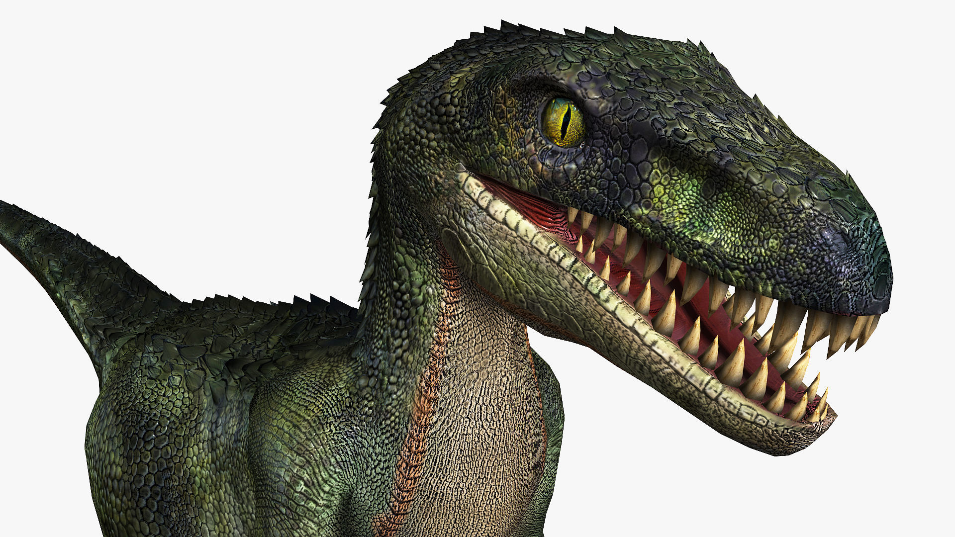 Raptor rigged and animated