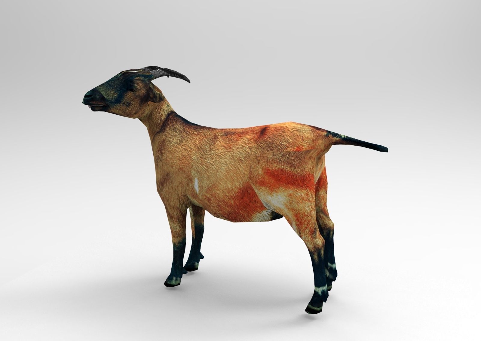 Red Goat Rigged