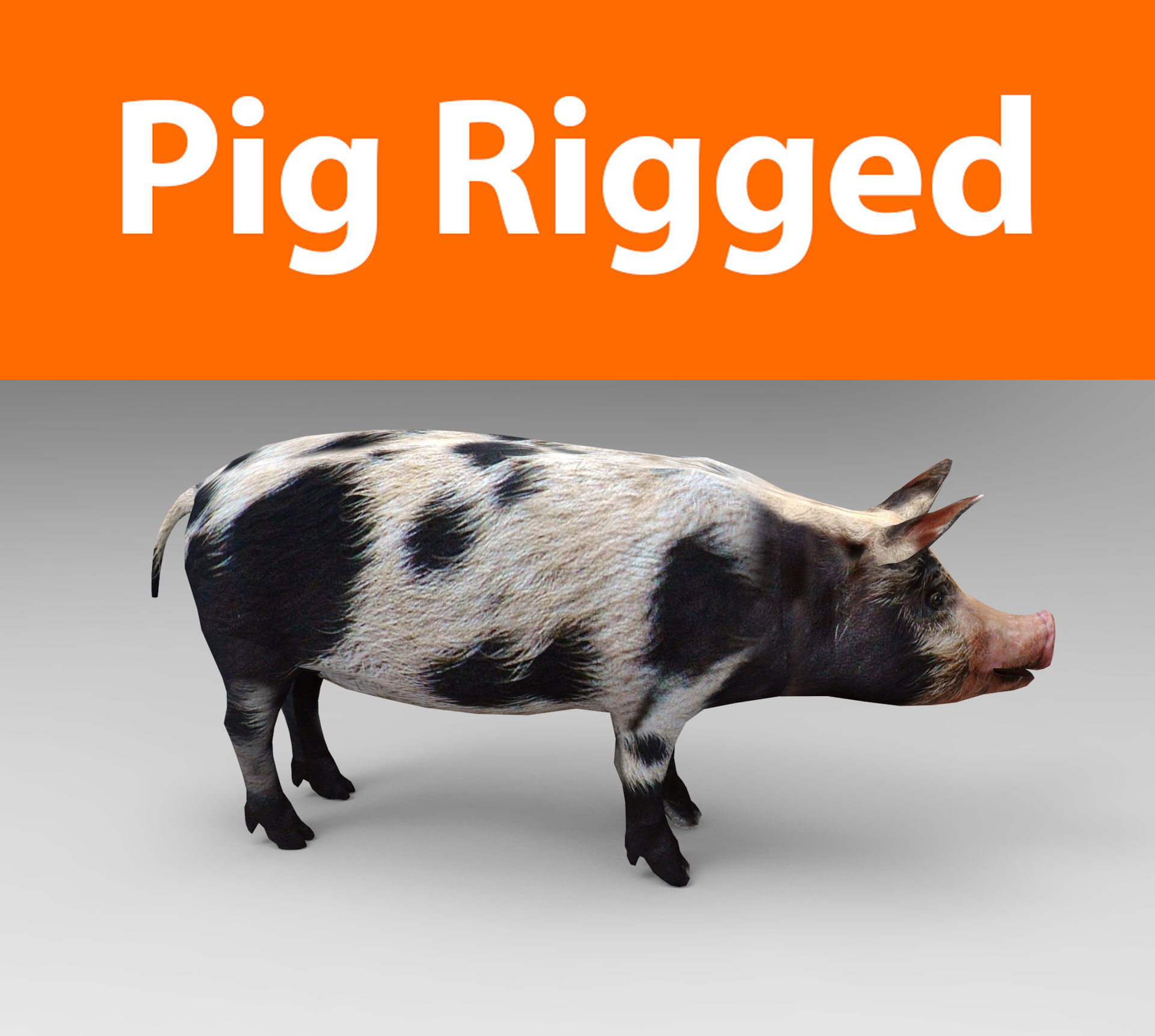 Pig Rigged