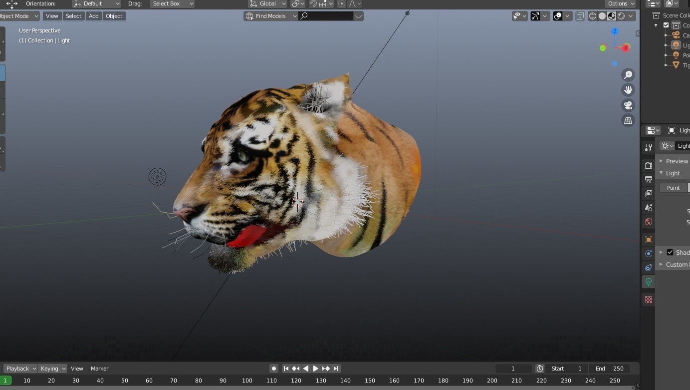 Tiger head blender free VR / AR / lowpoly 3D model CGTrader