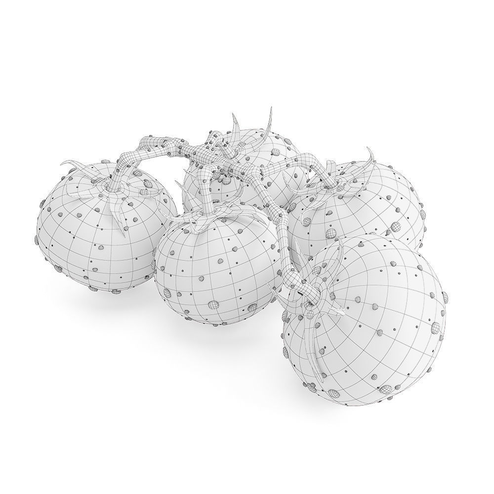Branch with Red Tomatoes 3D model CGTrader
