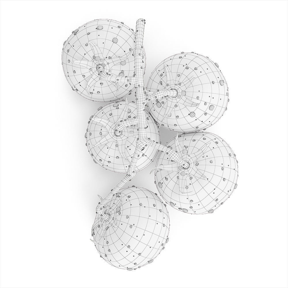 Branch with Red Tomatoes 3D model CGTrader