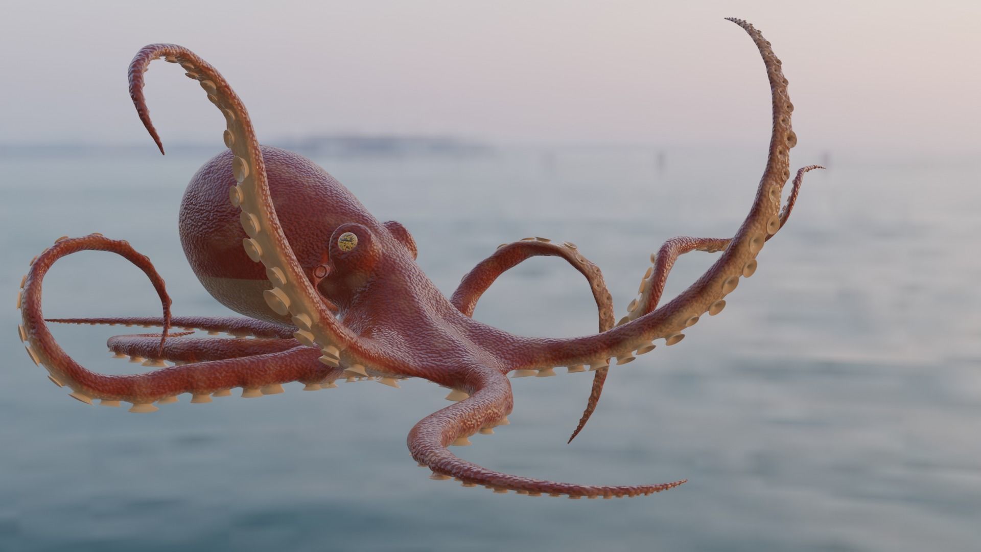Octopus 3D model rigged | CGTrader