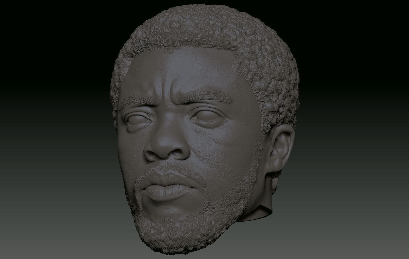 Chadwick Boseman Black Panther T Challa head