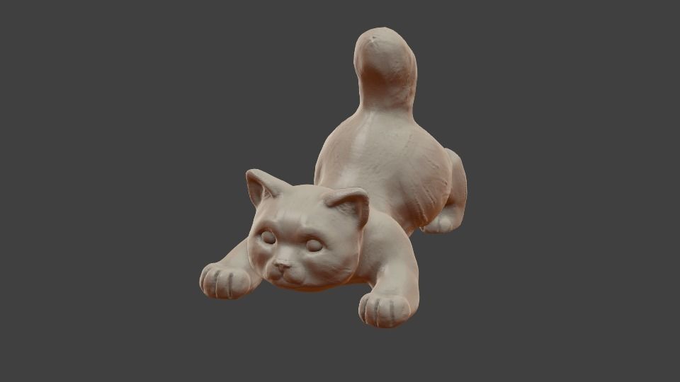 Little cat