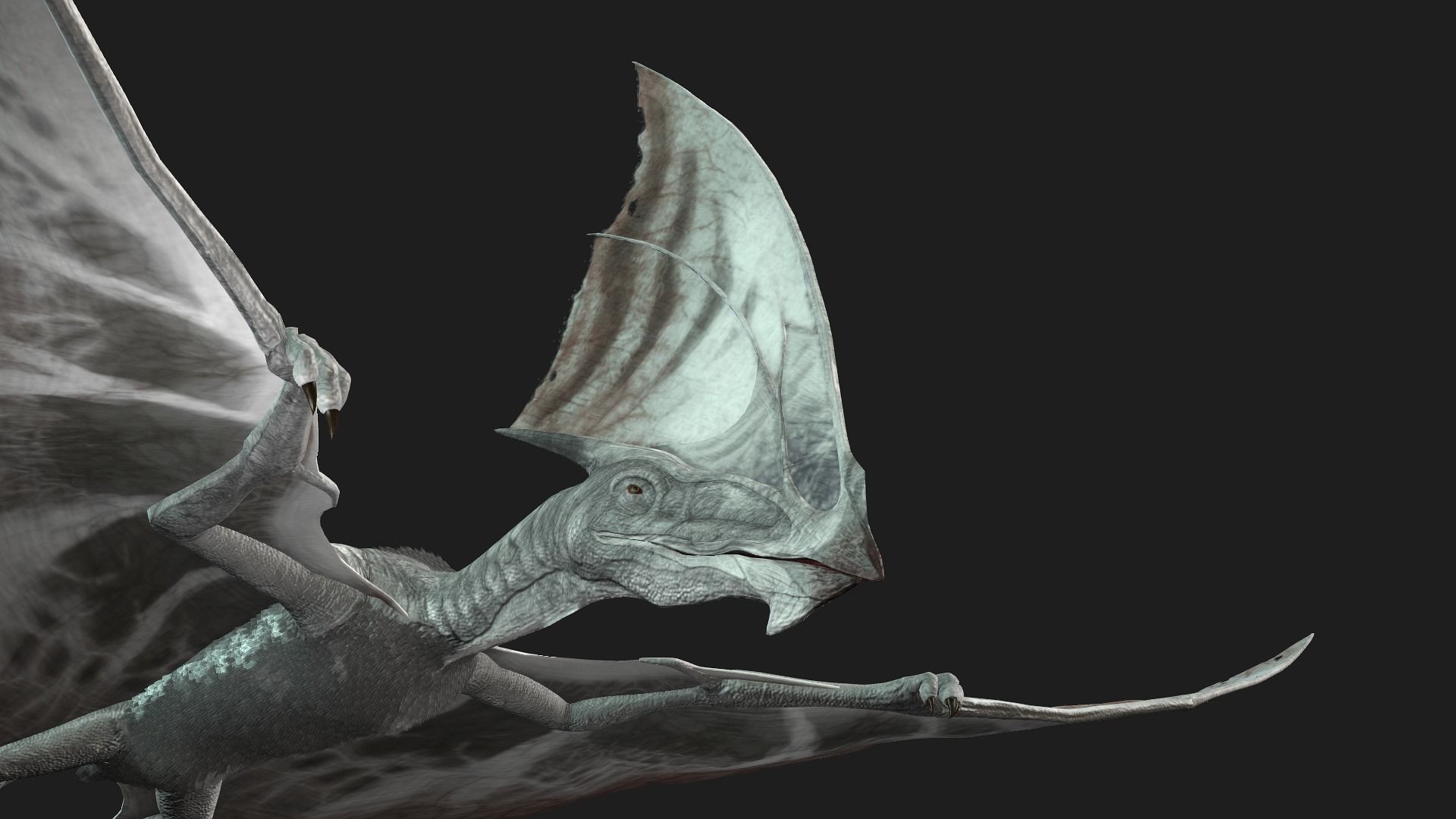 Dinos Flying 3D model CGTrader