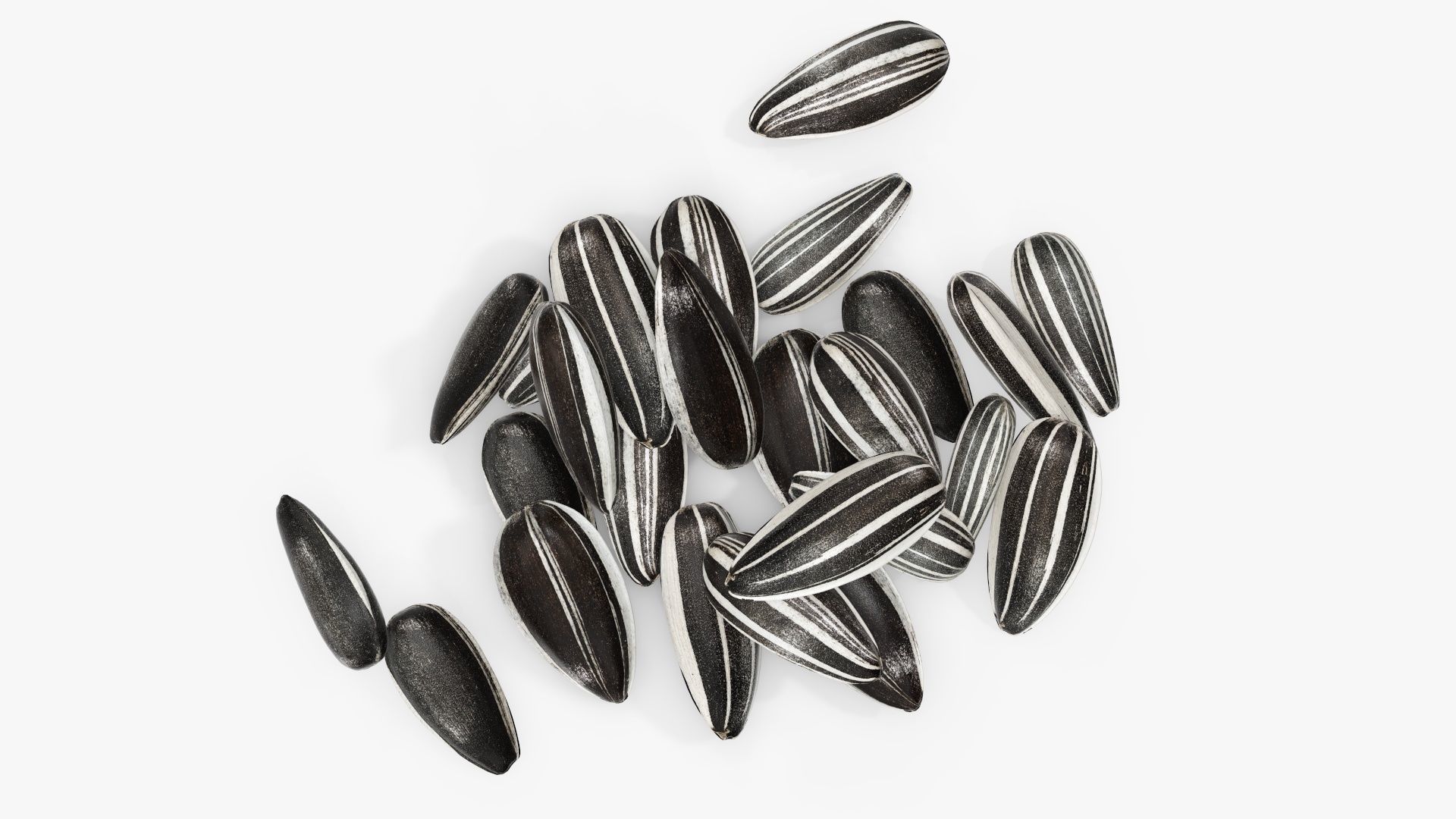 Seeds sunflower 05