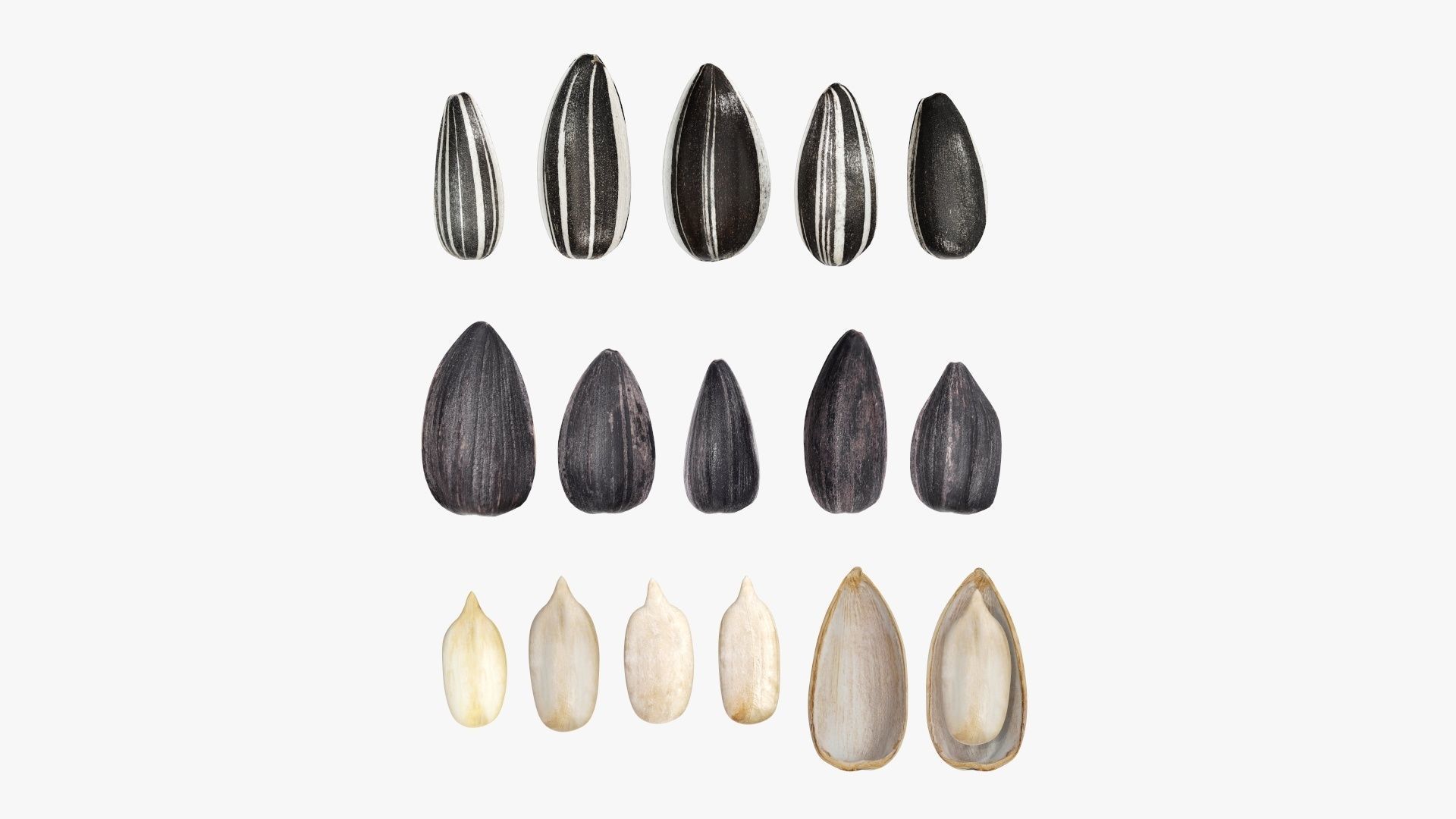 Seeds sunflower 01