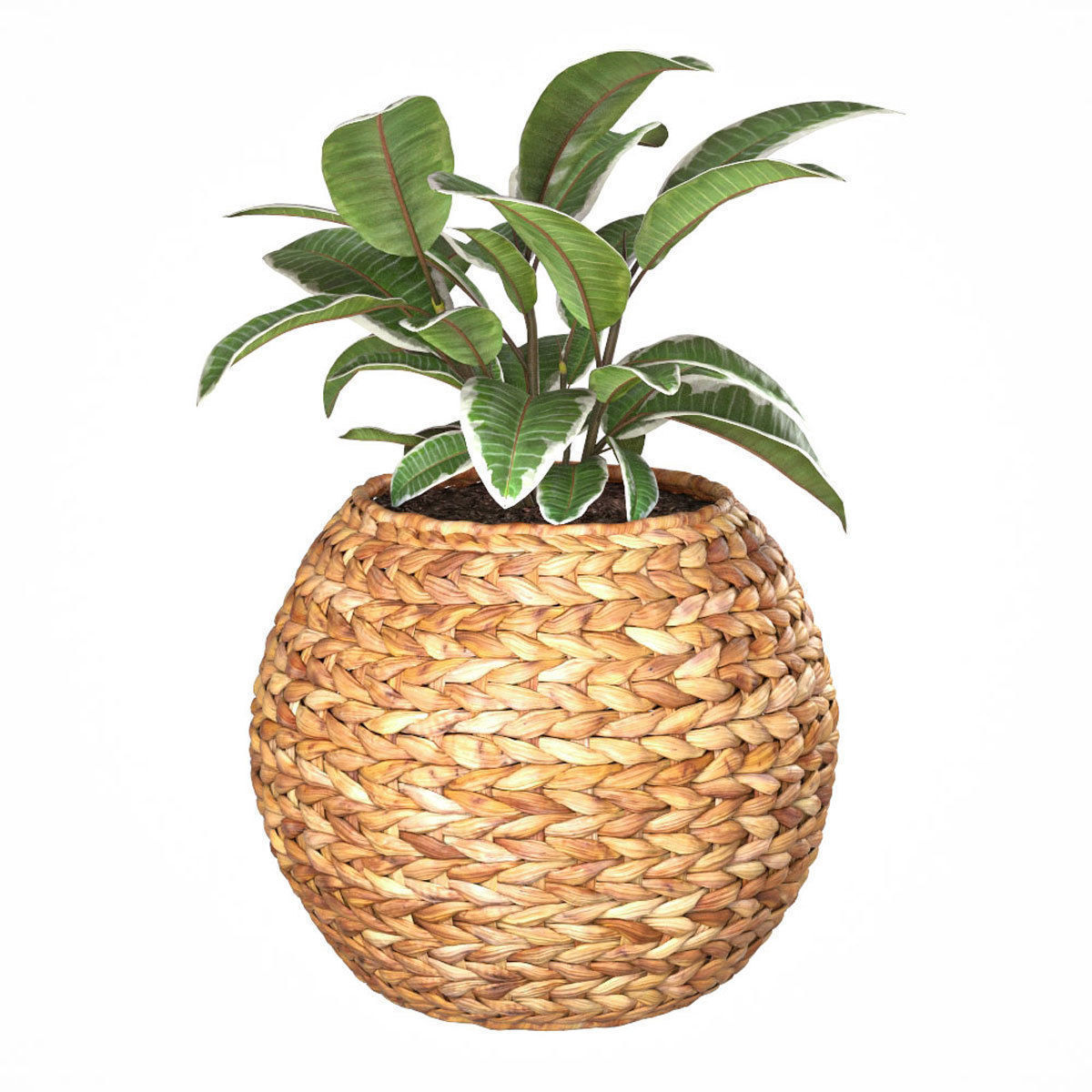 Wicker planter basket 3D model CGTrader