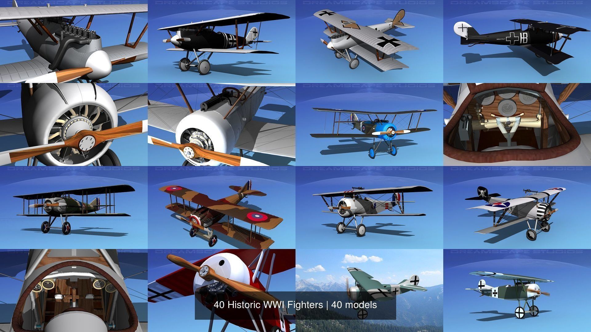 40 Historic WWI Fighters