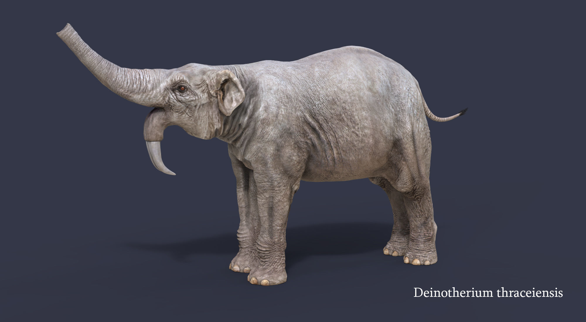 Extinct animals pack version 11 3D model CGTrader