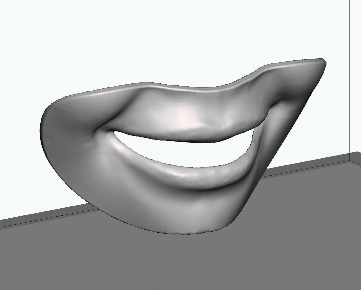 Smile line checker lip plate