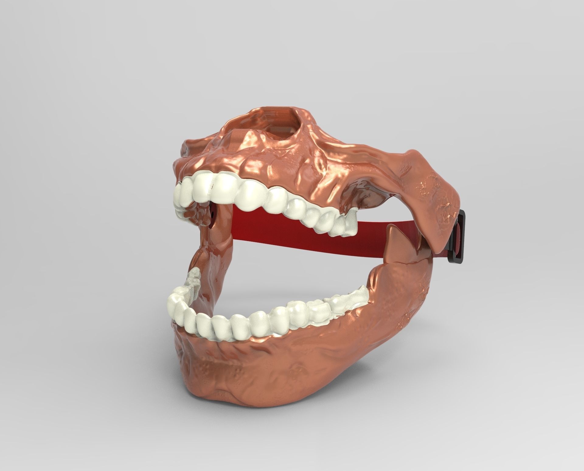 Dog muzzle 3D model 3D printable CGTrader