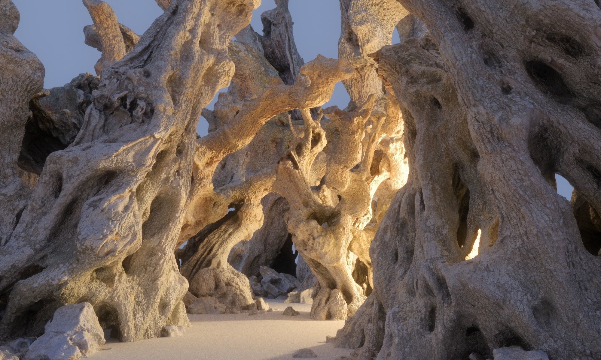 Old Forest HD