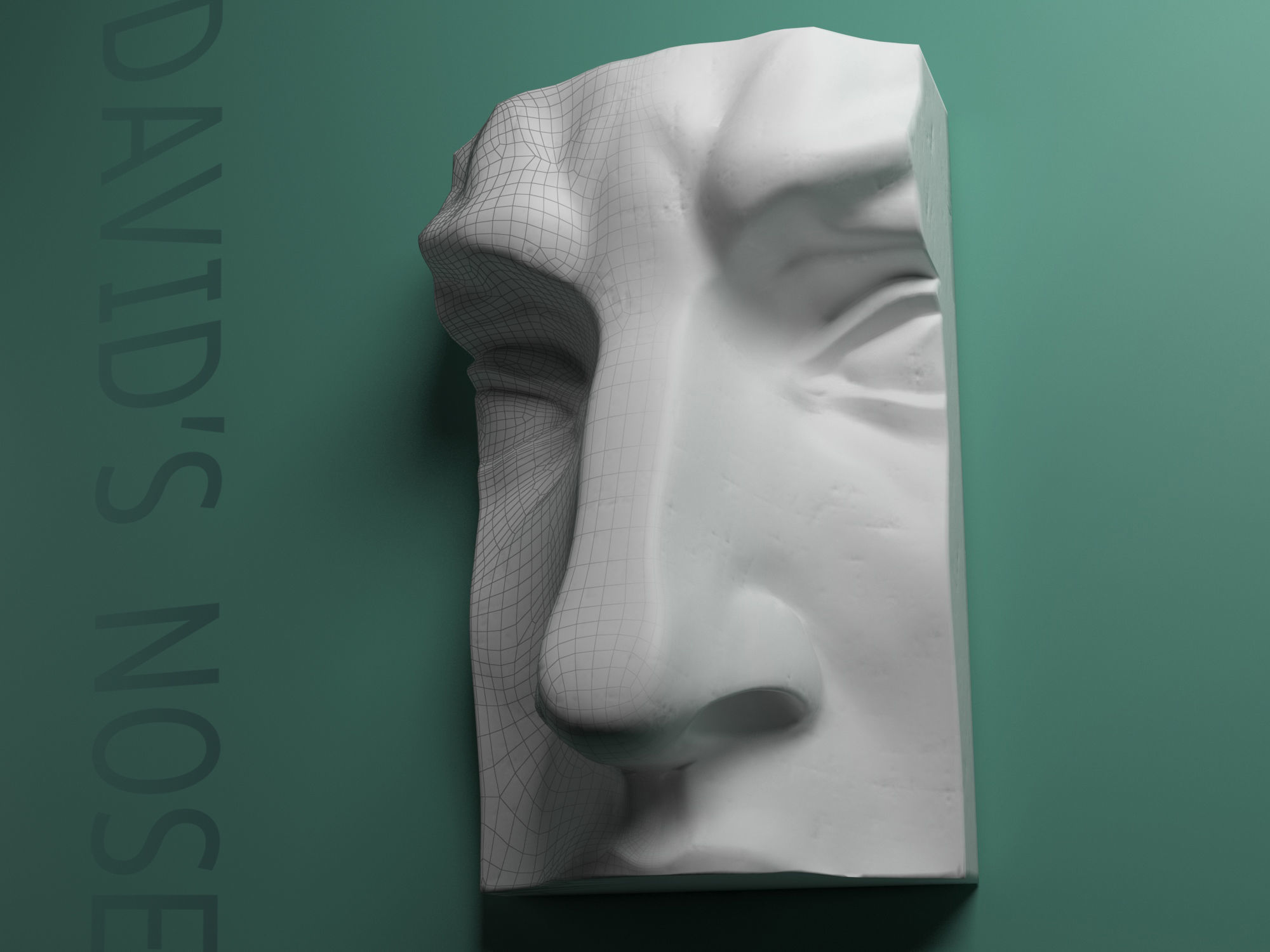 Nose of the David gypsum statur 3D model CGTrader