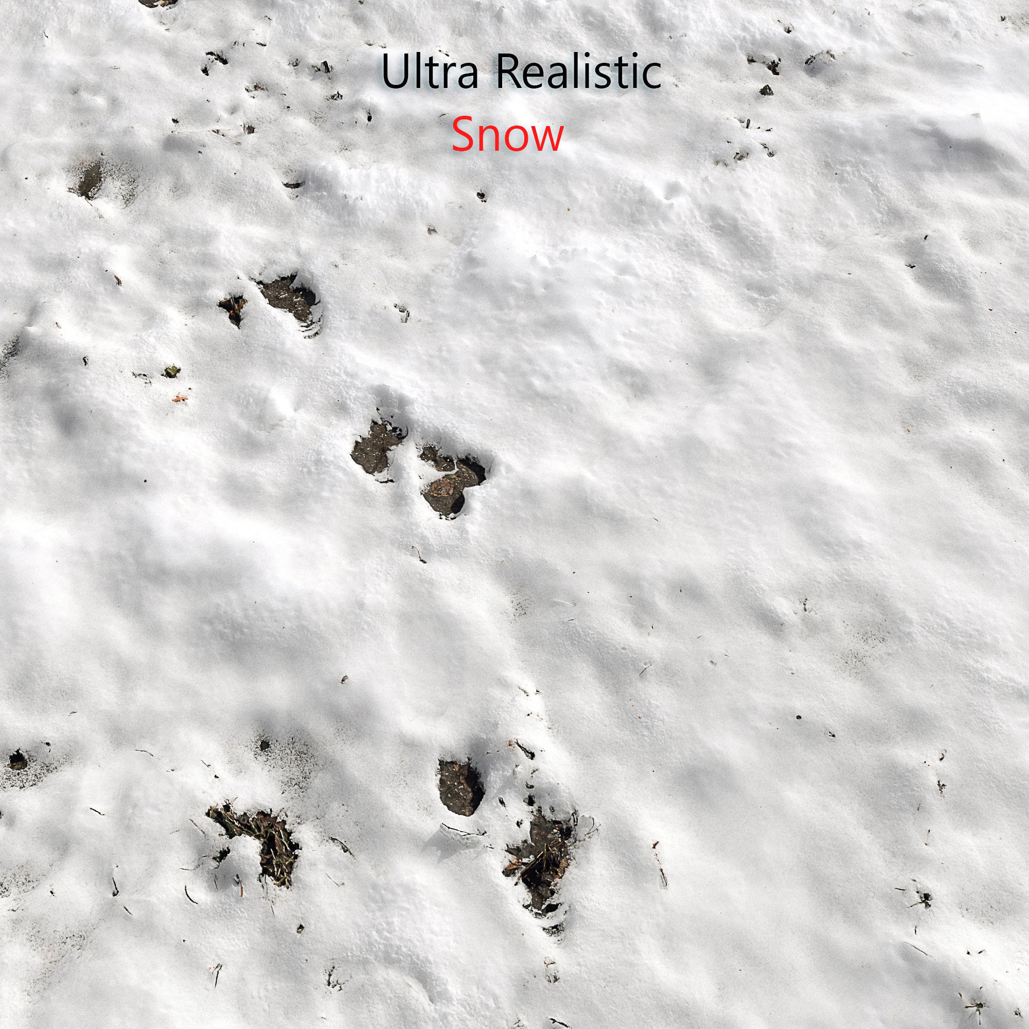 Snow ground Scan 10k