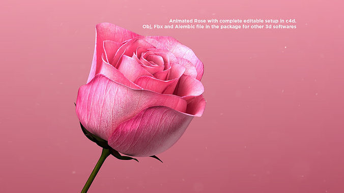 Пыльца Пчелиная Полезные Свойства И Как Ее Принимать