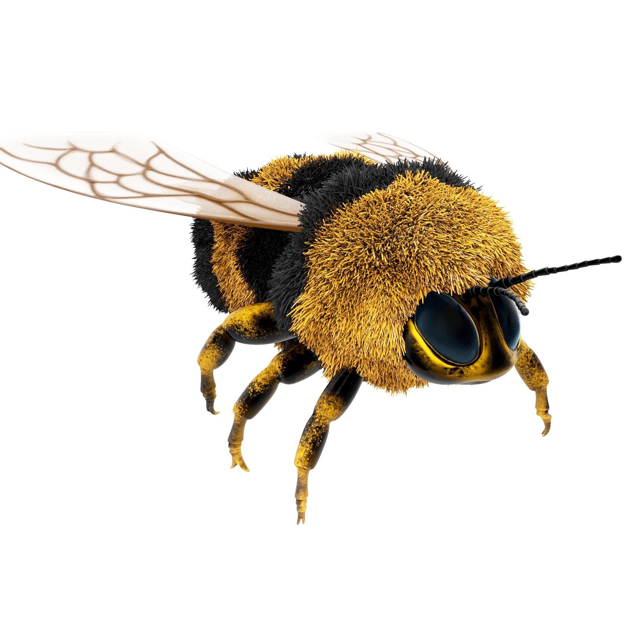 Bumblebee cartoon