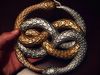 Auryn Medallion - Print Ready - FREE free 3D model 3D printable | CGTrader