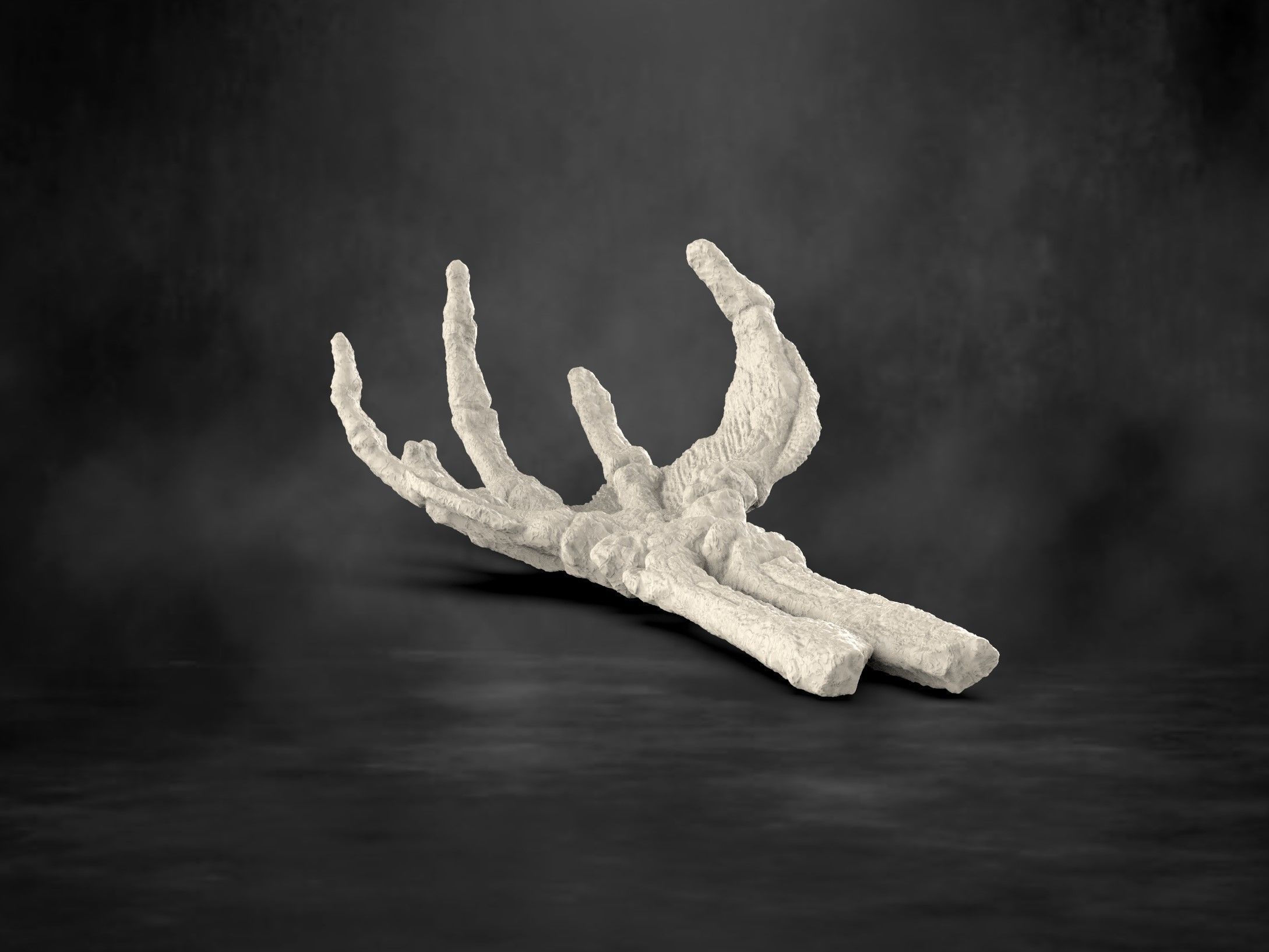 Creature From The Black Lagoon Fossil Hand 3D model 3D printable | CGTrader