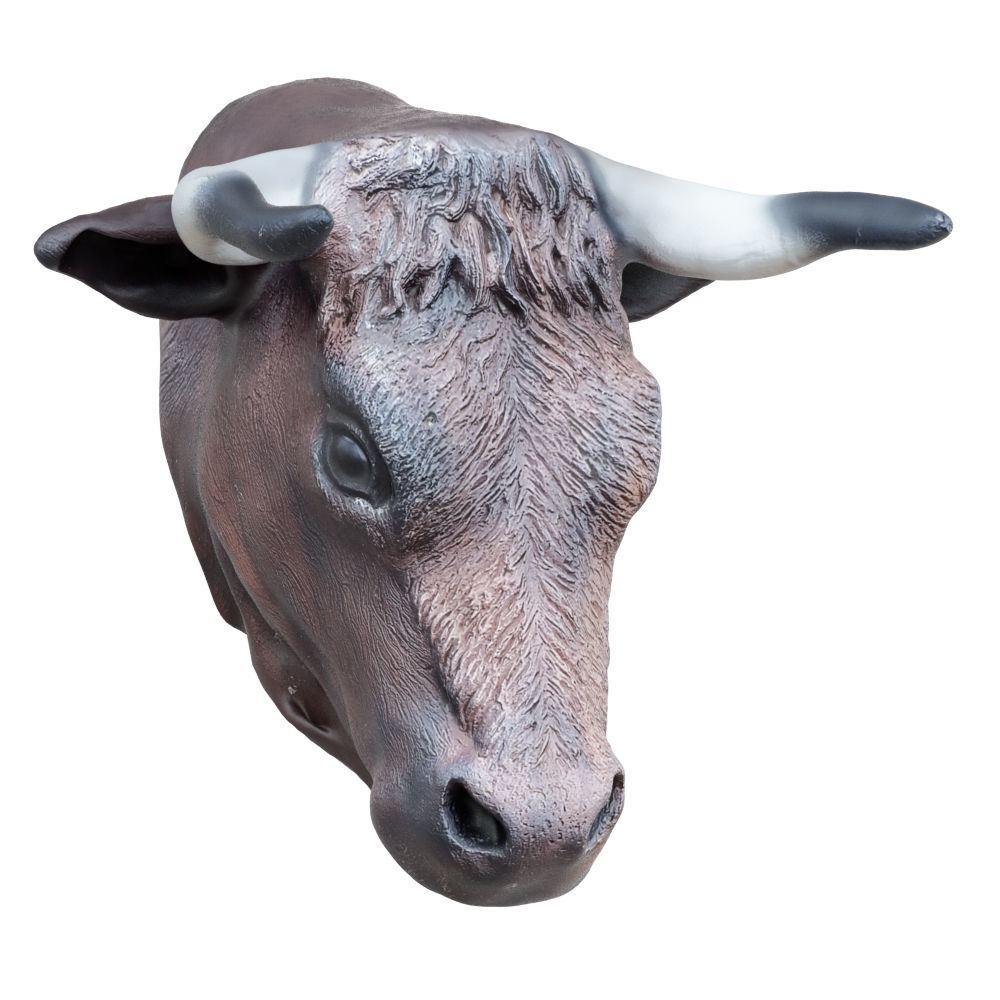 Decorative bull head on the wall 3D model CGTrader